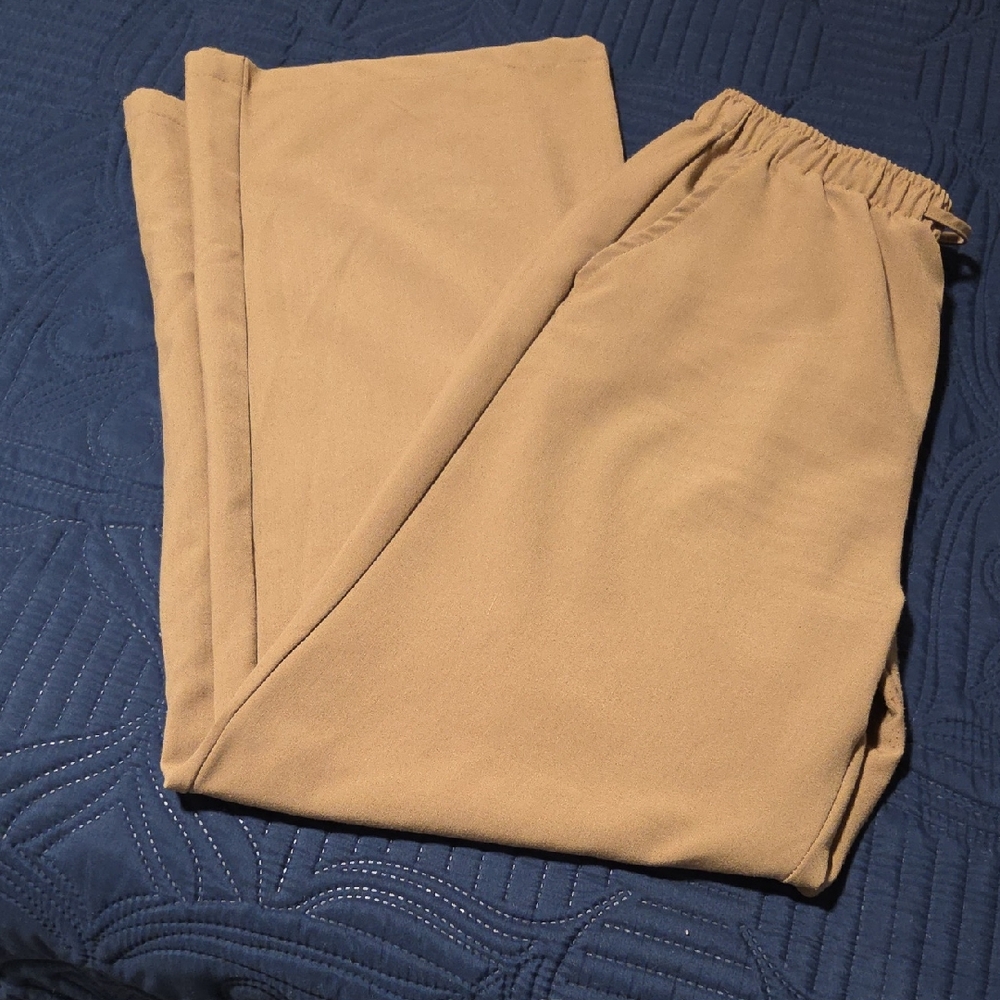 Charlotte Russe Women's Tan Pants